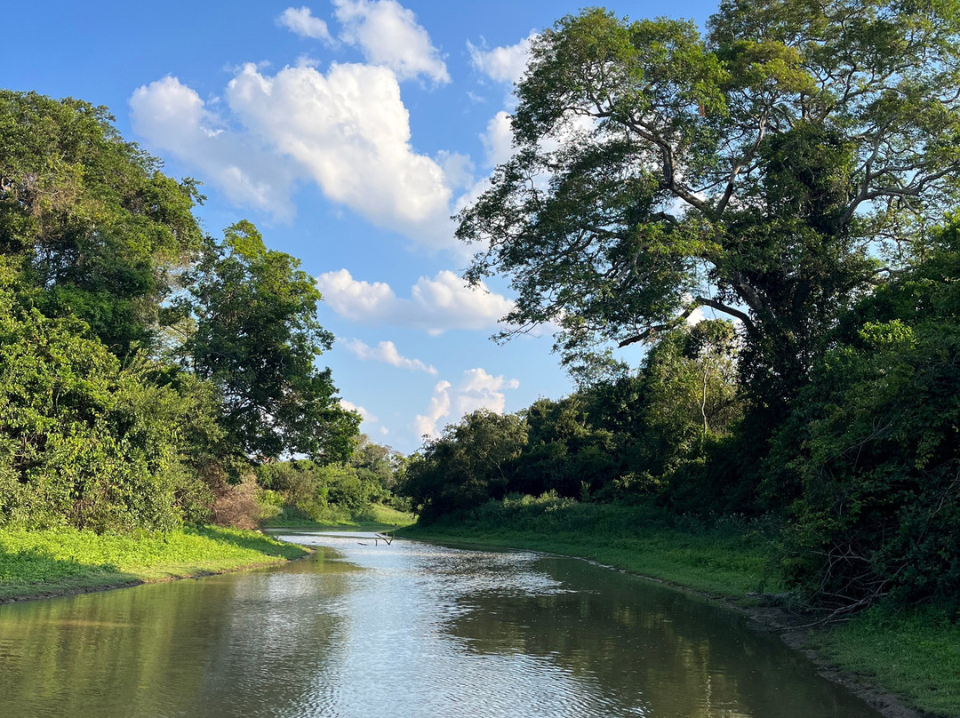 Fluvial Tours-Rurrenabaque必去景点