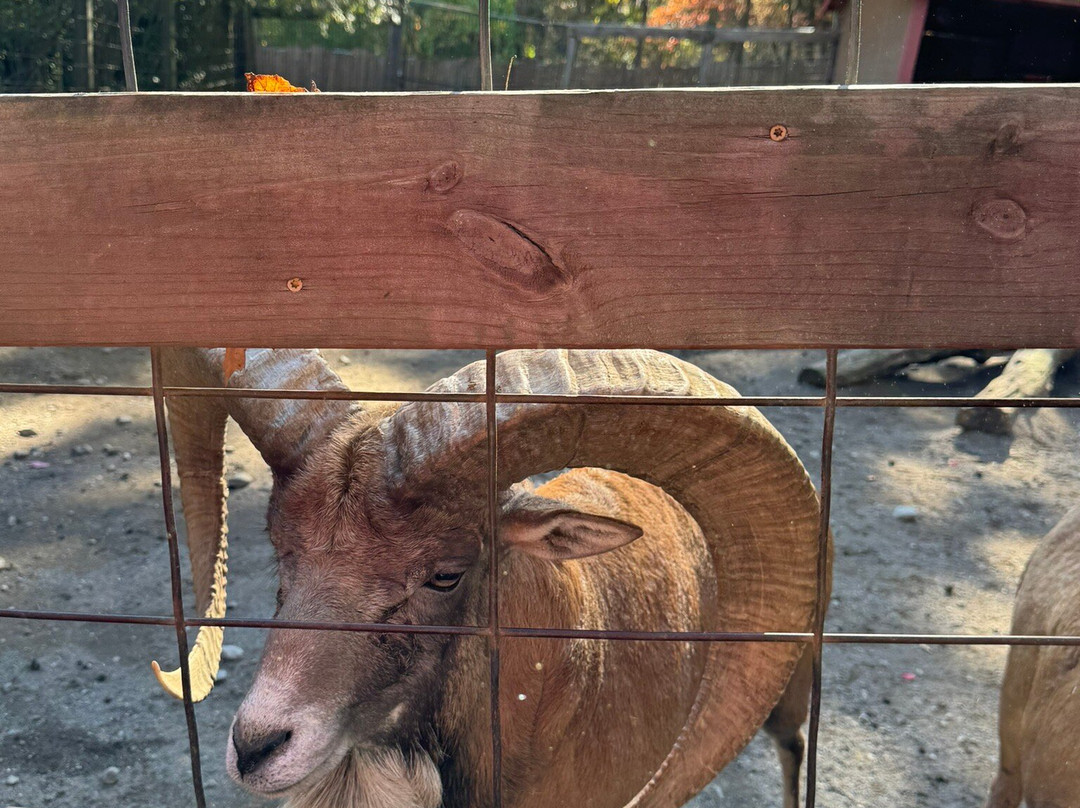 Living Treasures Wild Animal Park-New Castle必去景点
