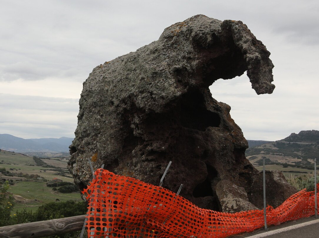 Roccia dell'Elefante-Castelsardo必去景点
