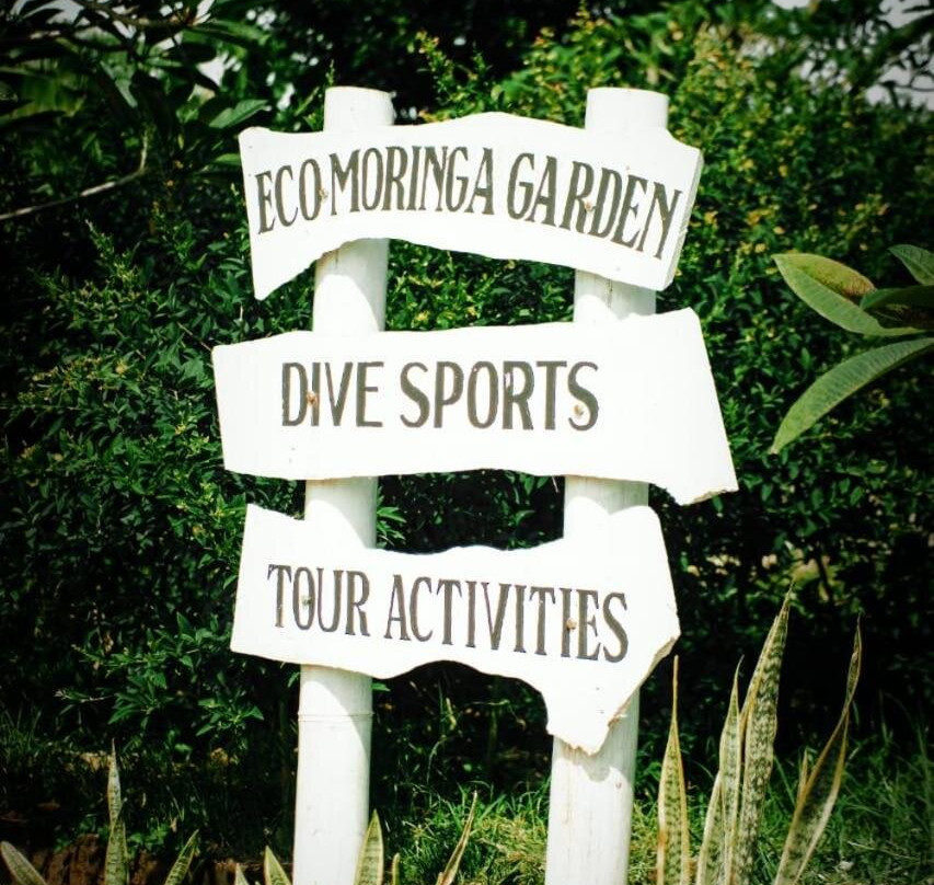 Eco Moringa Garden主图