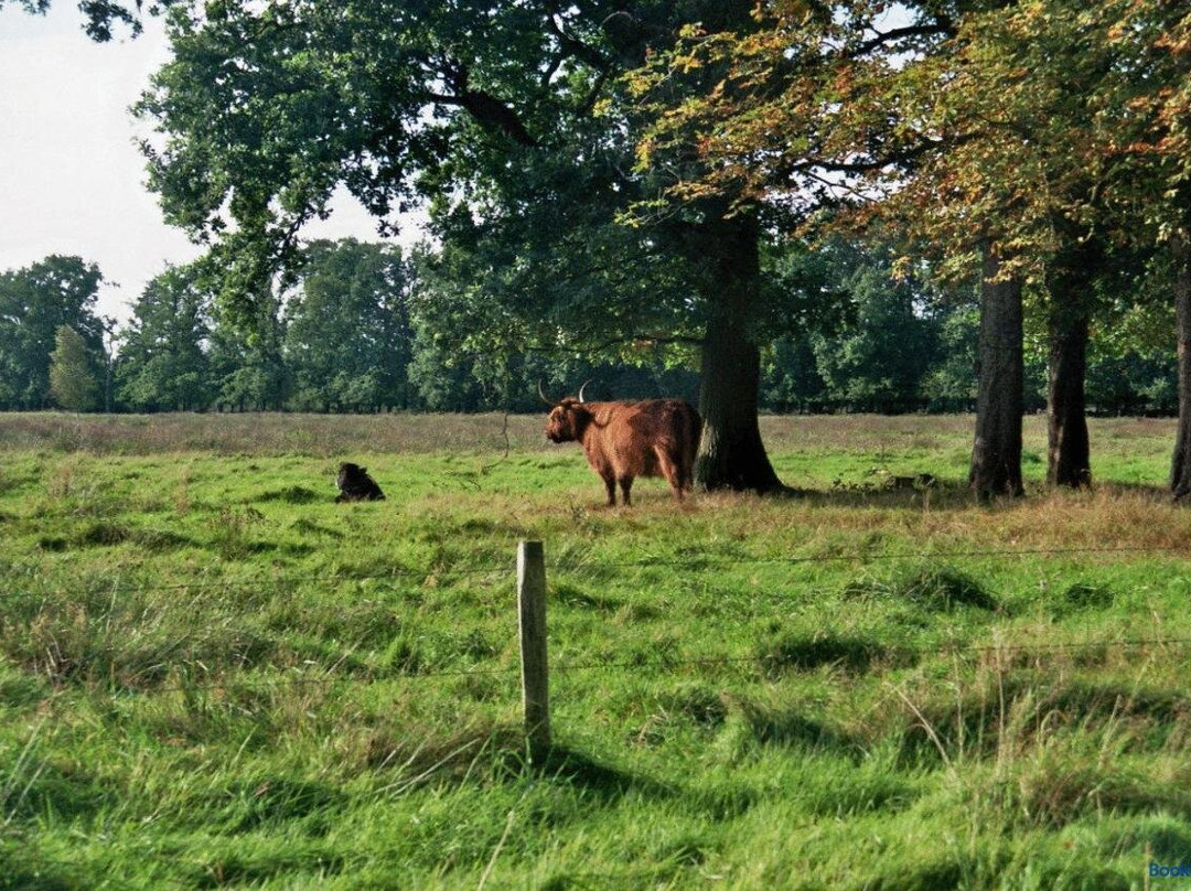 Hotel-Gaststätte Franke