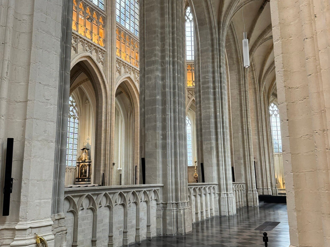 Saint Peter's Church (Sint-Pieterskerk)-鲁汶必去景点