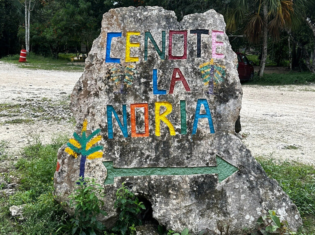 Cenote La Noria-从莫雷洛斯港必去景点