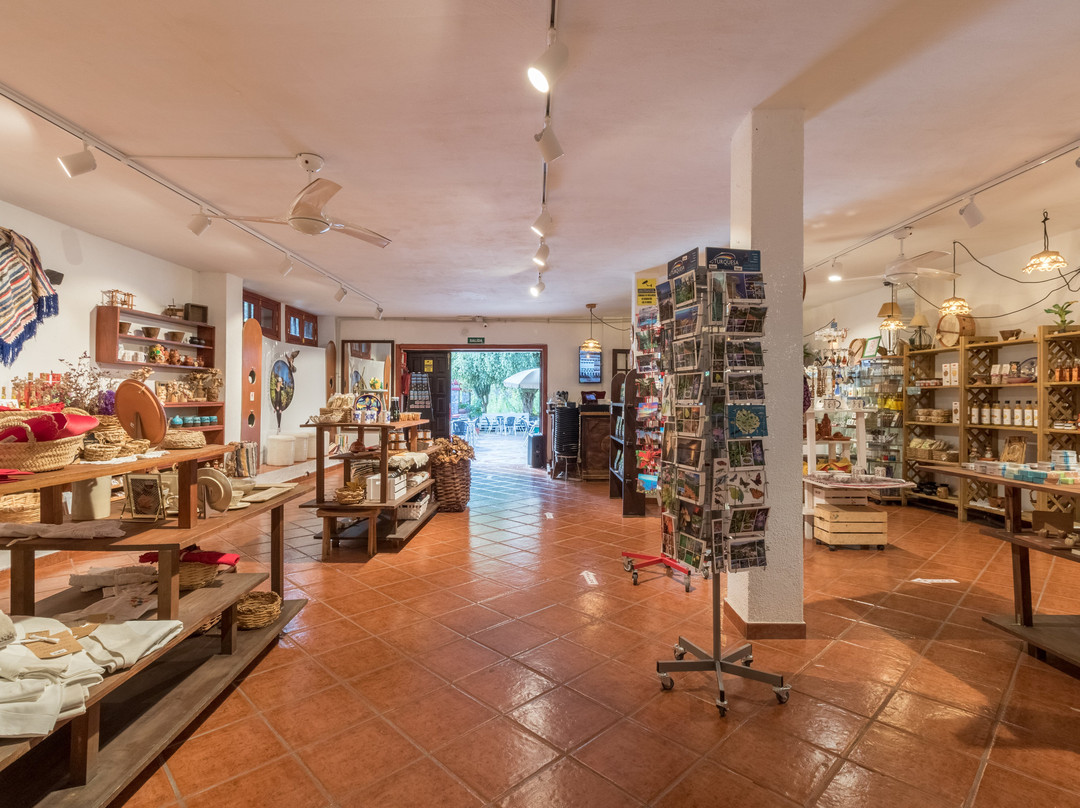 Shop Los Telares-Hermigua必去景点