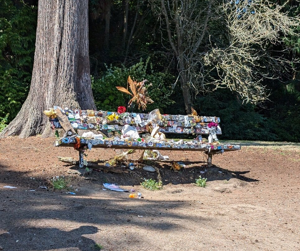 Stalking Seattle, A Music History Sightseeing Tour-西雅图必去景点