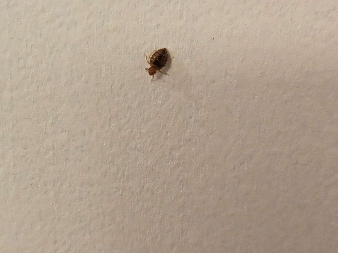 Hampton Inn  Simpsonville主图