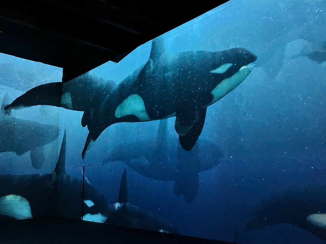 Phoenix des Lumieres-多特蒙德必去景点