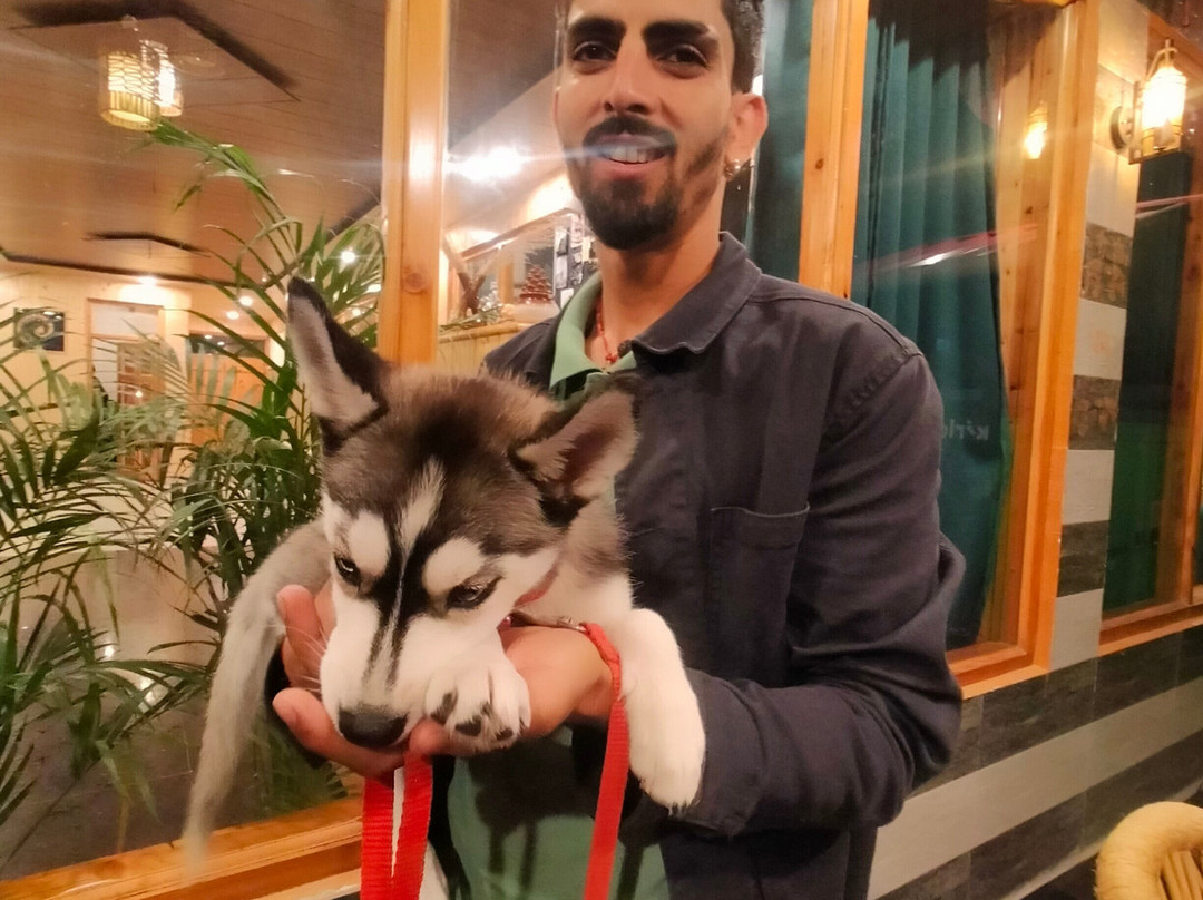 Hotel Mid Orchard Kasol - River Side