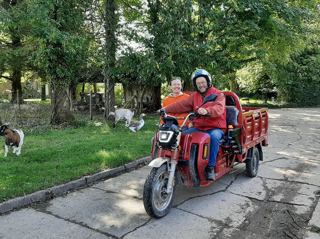 Ferme de Bonnetot景点图片
