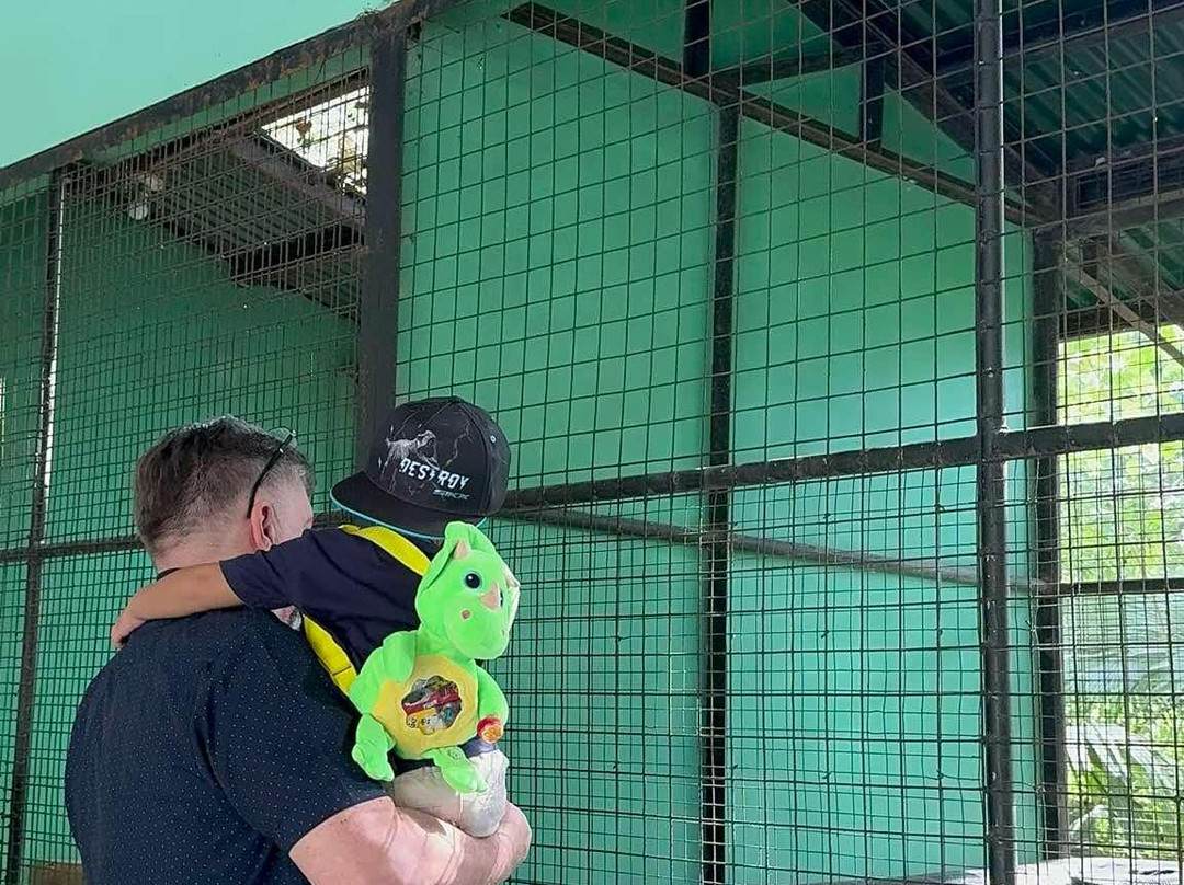 Crocolandia-宿雾必去景点