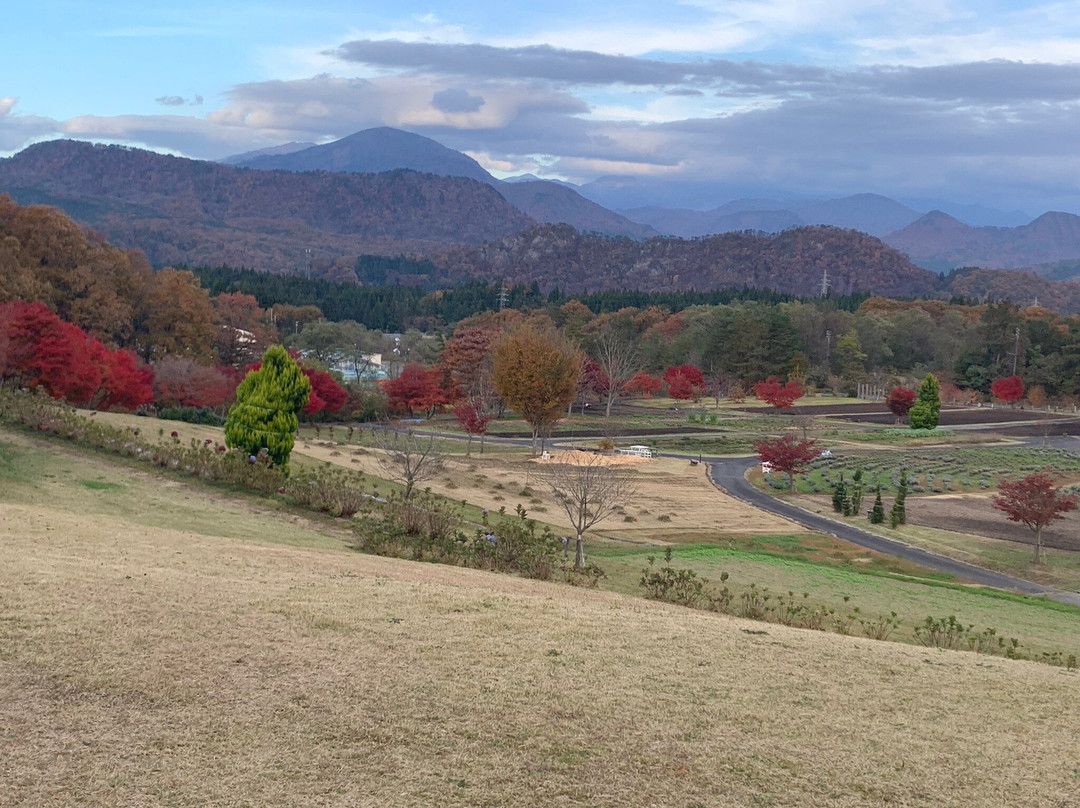 Ashizawa Plateau Herbal Park景点图片