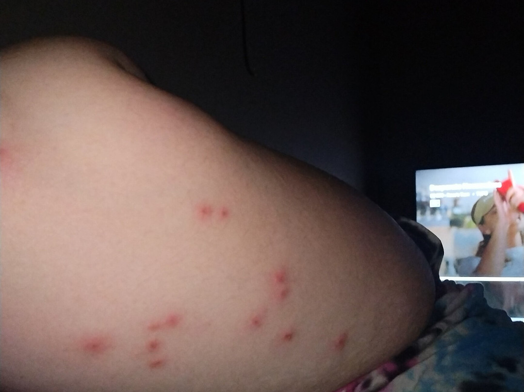 Super 8 by Wyndham Alma主图