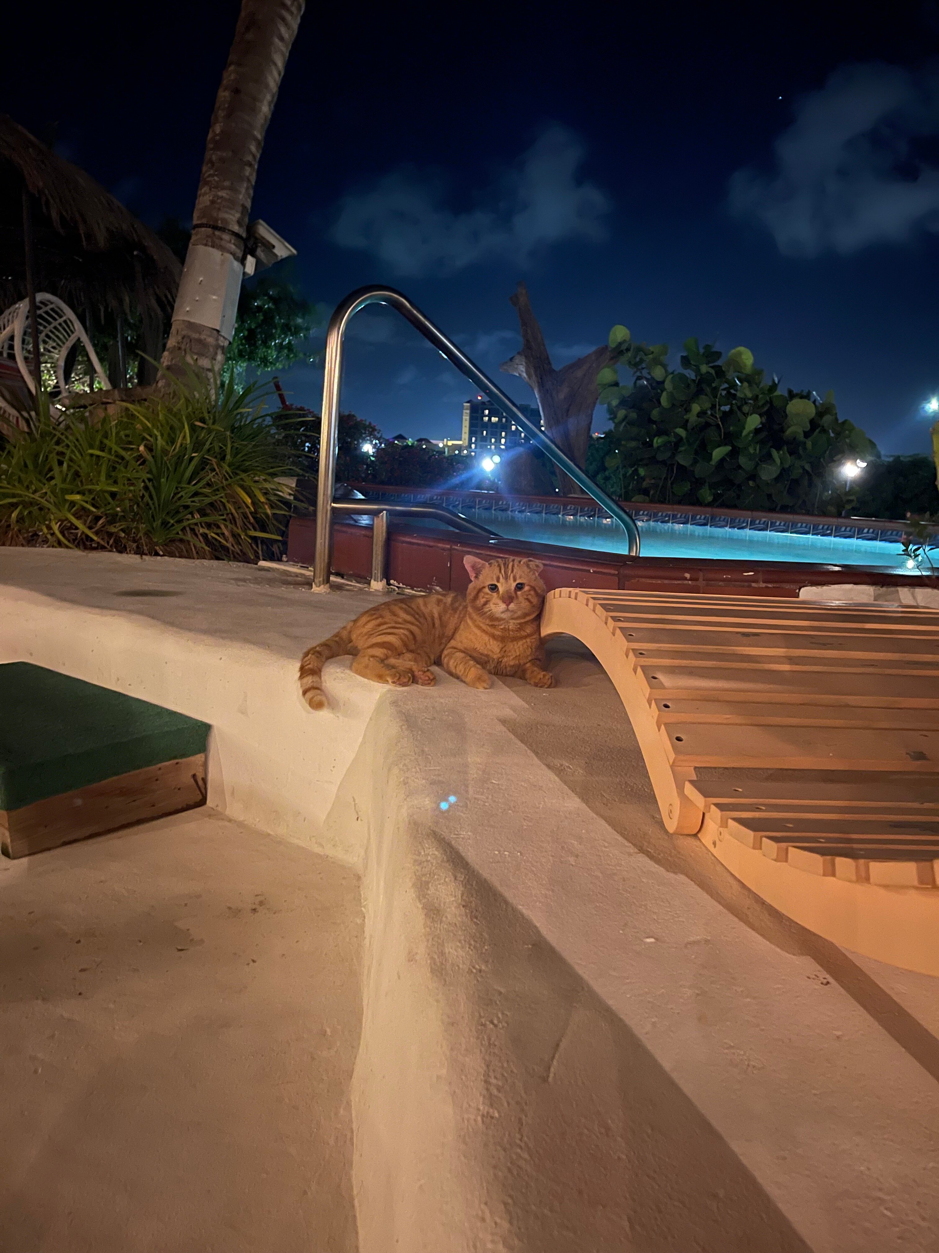 Beach House Aruba Apartments-官方