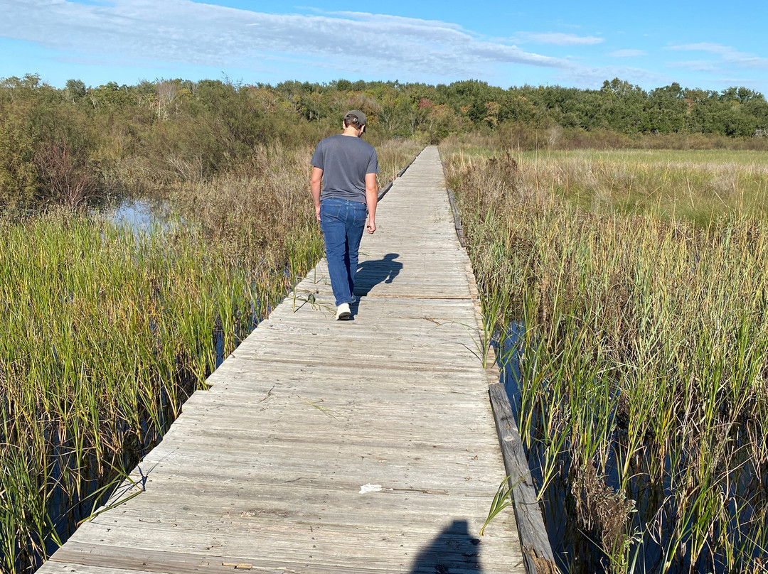 San Jacinto Battleground State Historic Site-拉波特必去景点