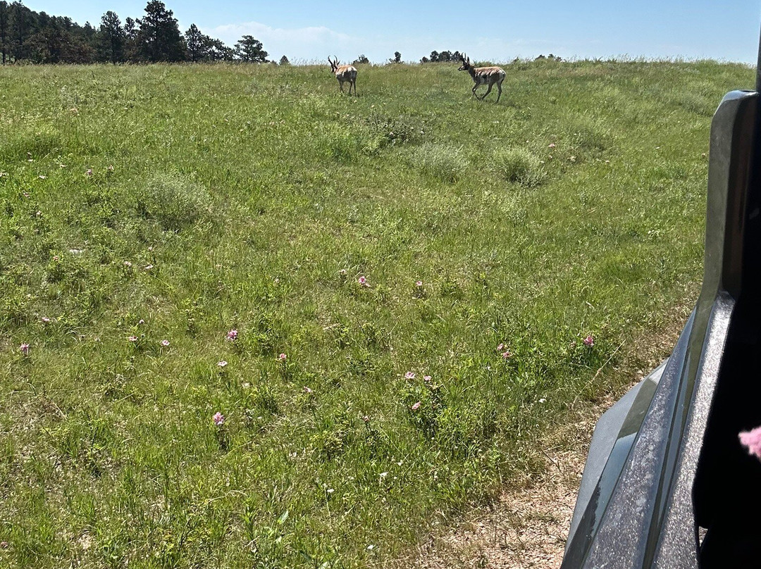 Adventure Rentals-卡斯特必去景点