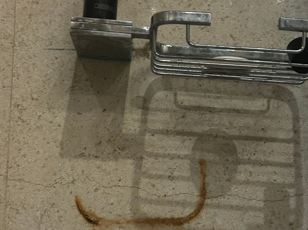 Aleksandar Novi Sad主图