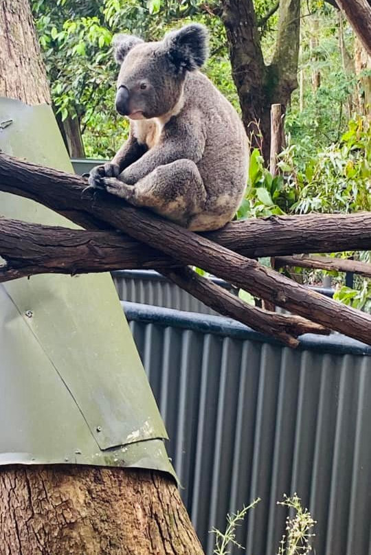 Wildlife HQ Zoo景点图片