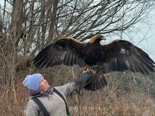 Hawkeye Bird and Animal Control-Erin必去景点