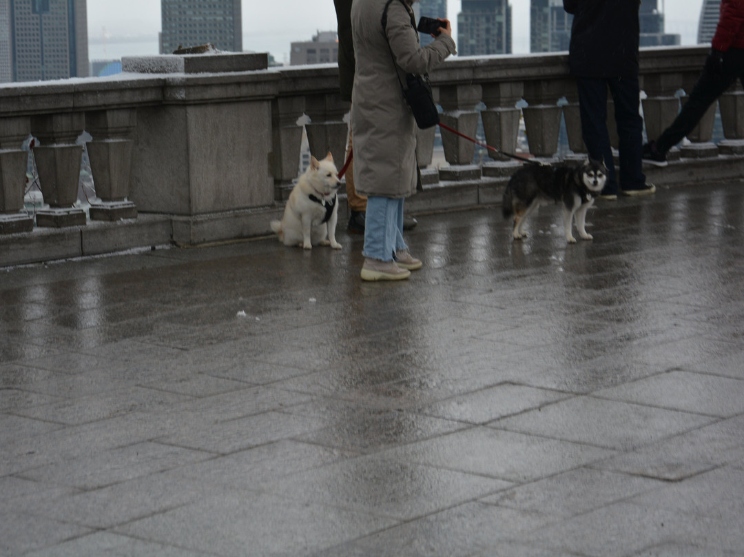 Plateau Mont-Royal-蒙特利尔必去景点