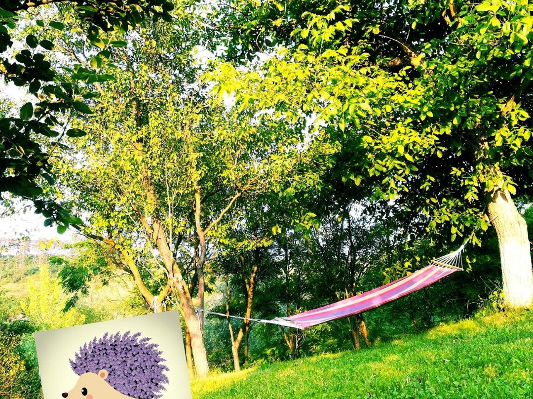 Lavender Garden Camping