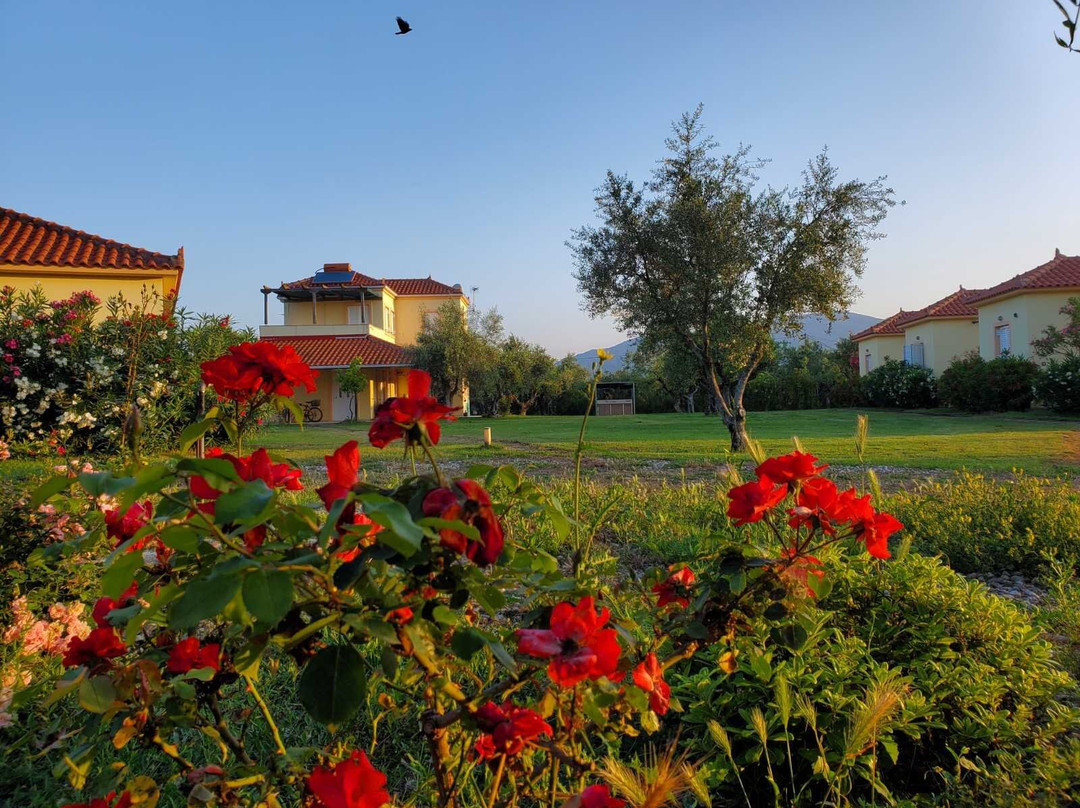 Phyllida Guest Houses