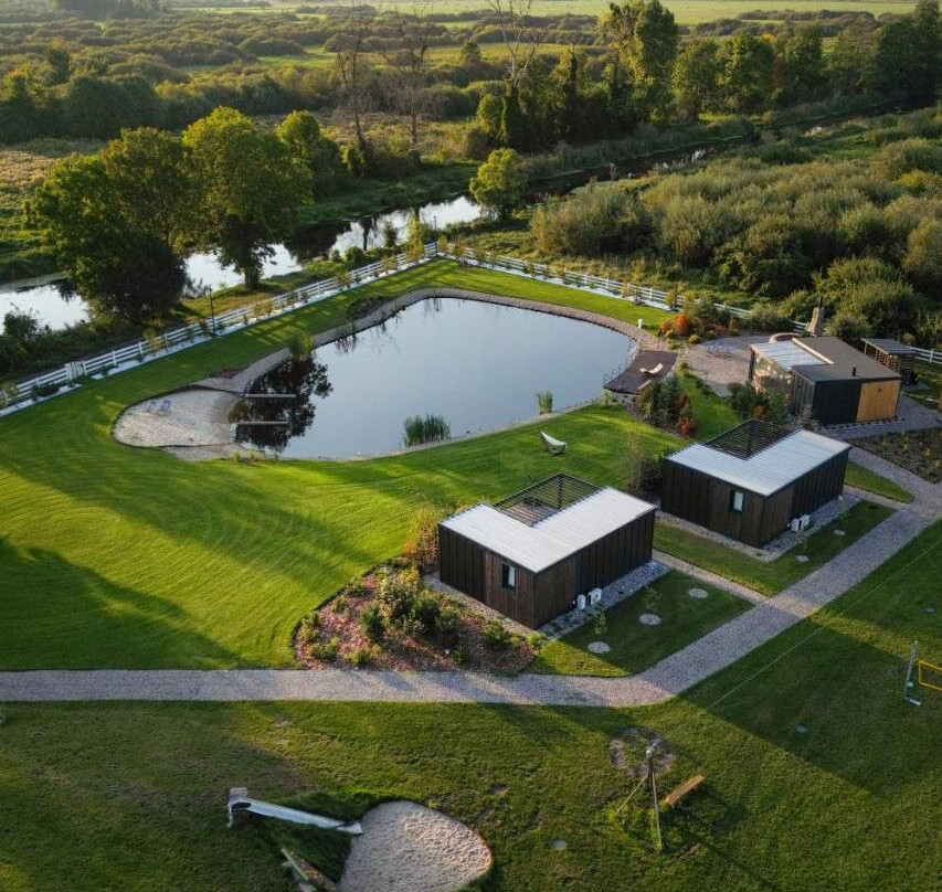 Lisi Ogon Zanurzeni W Naturze