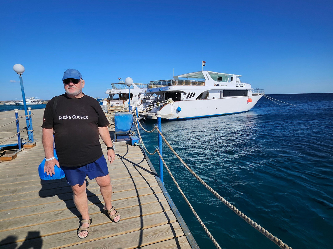 Ducks Diving Safaga-Safaga必去景点