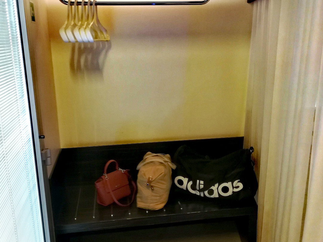 皮内塔酒店主图