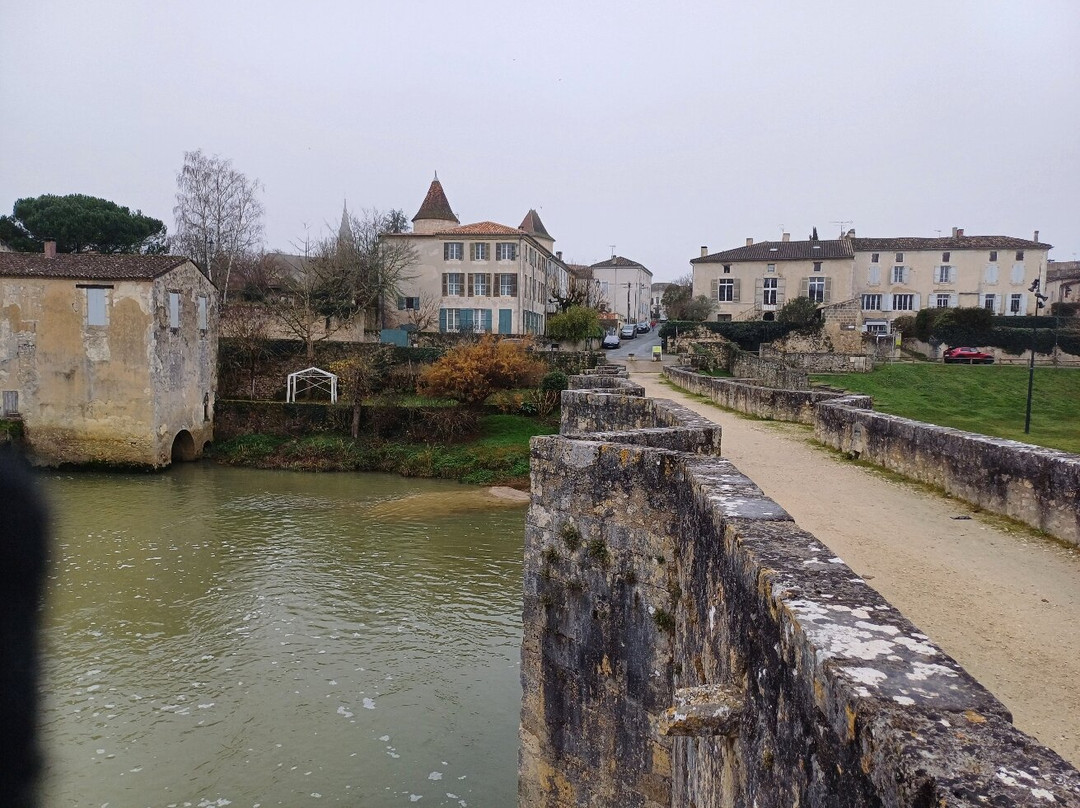 Pont roman de Barbaste景点图片