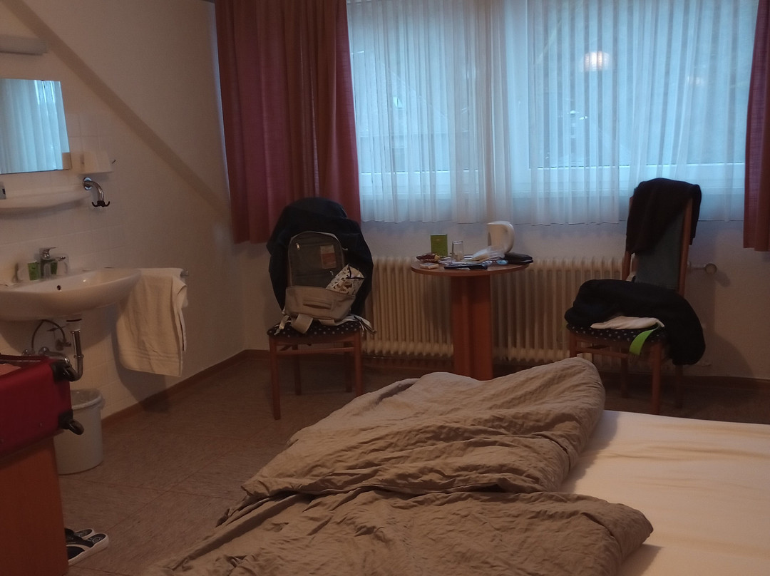 Wagner Hotel & Pensionshaus主图