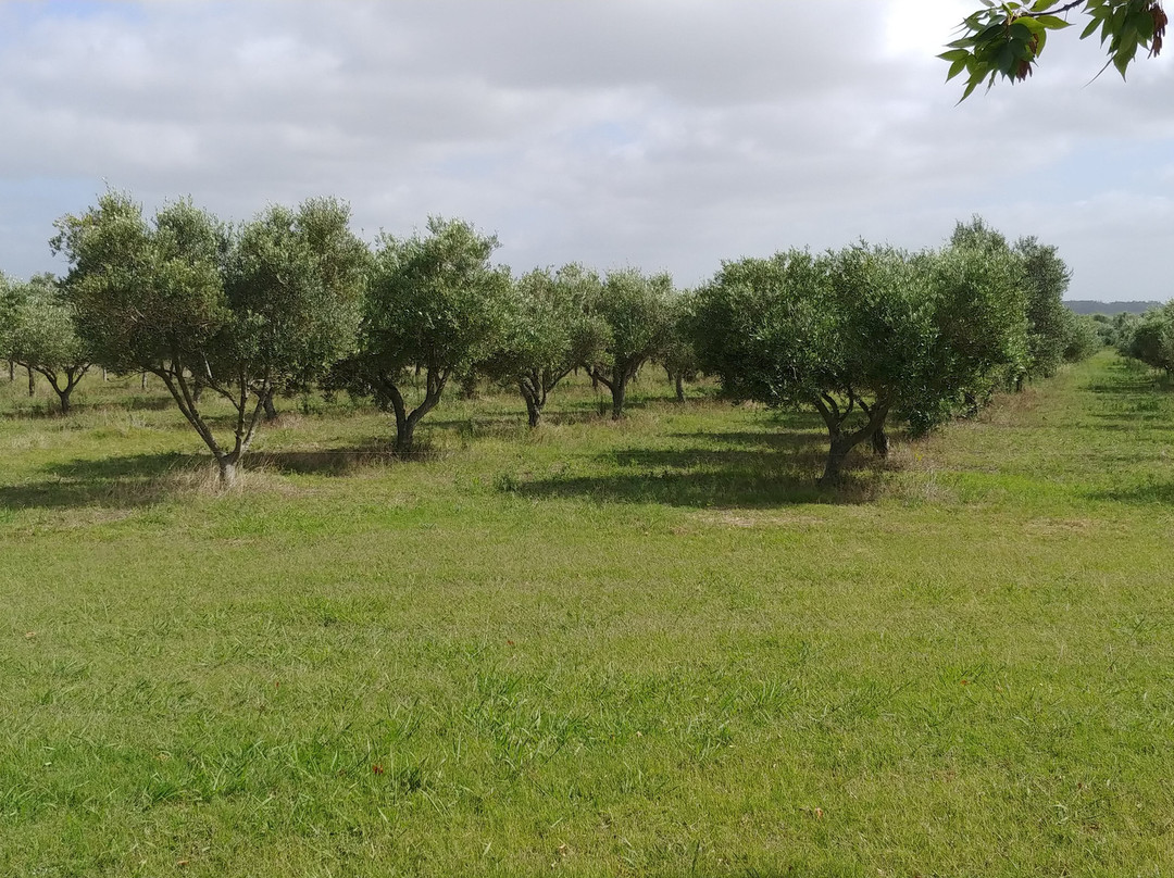Borravino Wine Tours Spain-毕尔巴鄂必去景点