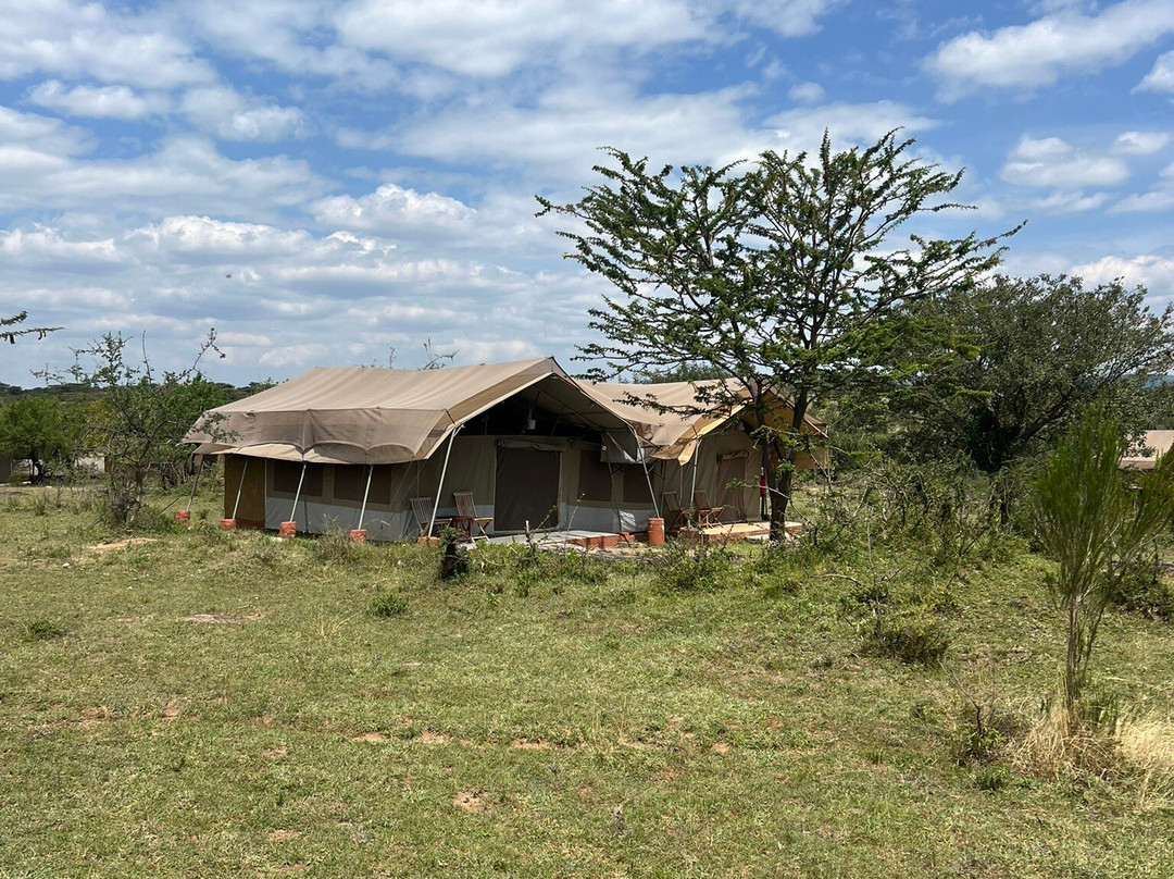Masai Mara Holidays景点图片
