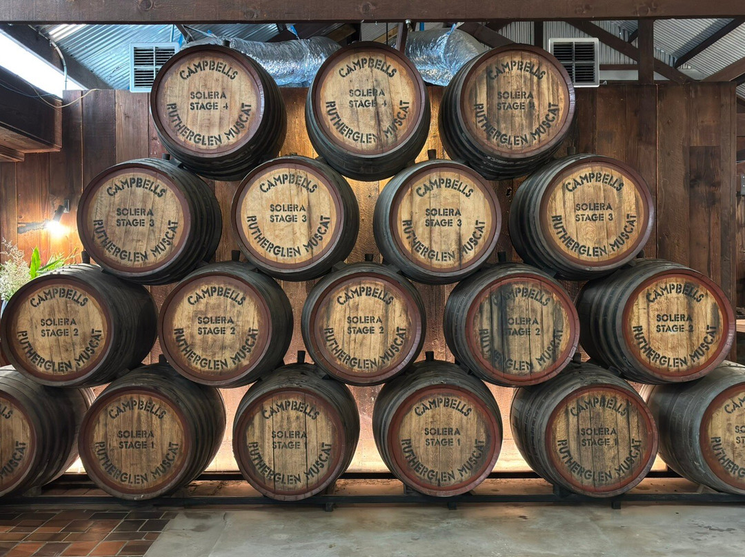 Campbells Wines景点图片