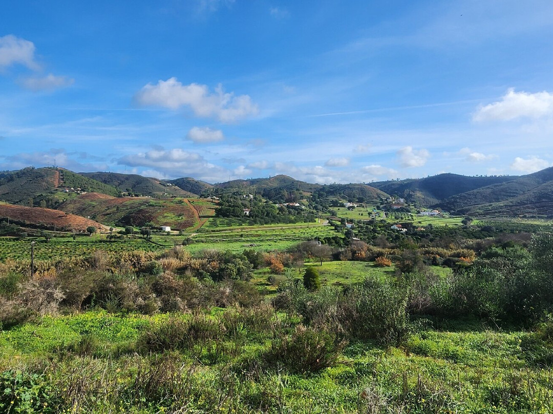 Quinta Do Frances Winery景点图片