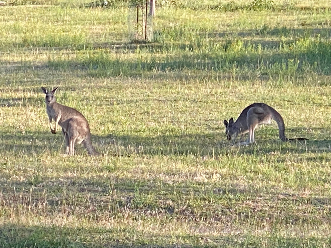 Last Stop Ambledown Brook Bed & Breakfast主图