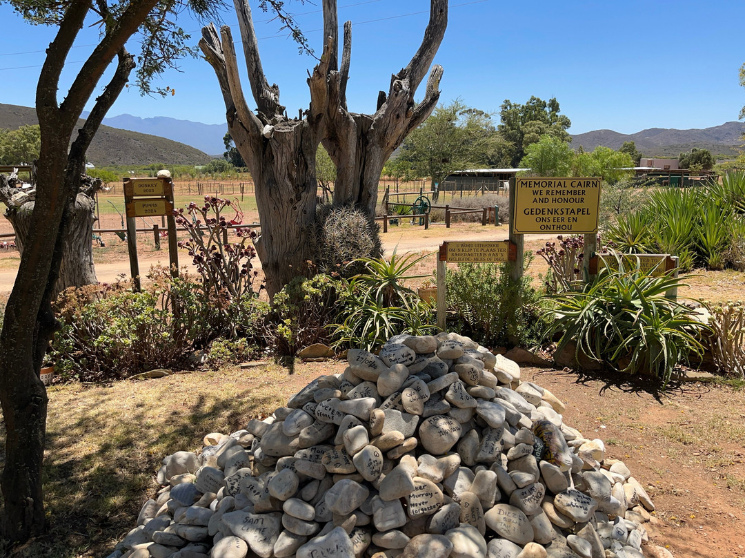 Eseltjiesrus Donkey Sanctuary-McGregor必去景点