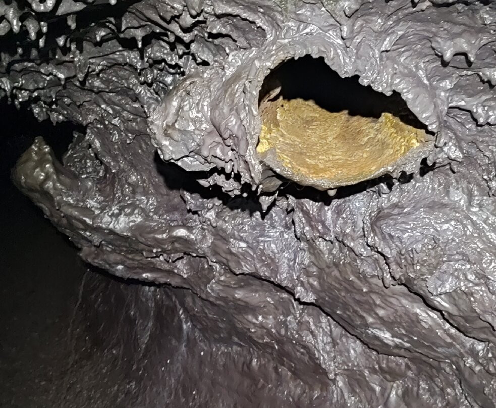 Tunnels de lave Réunion: Volcanorun景点图片