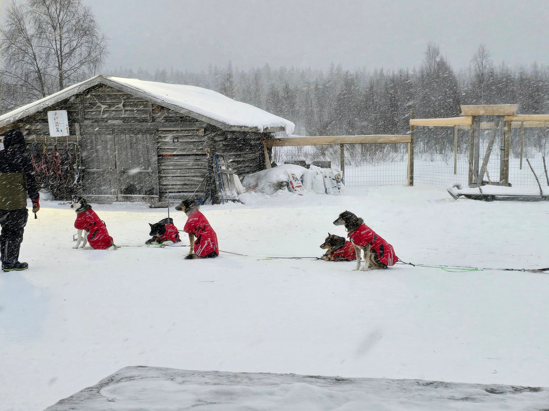Husky Ranch Lapland-Kolari必去景点