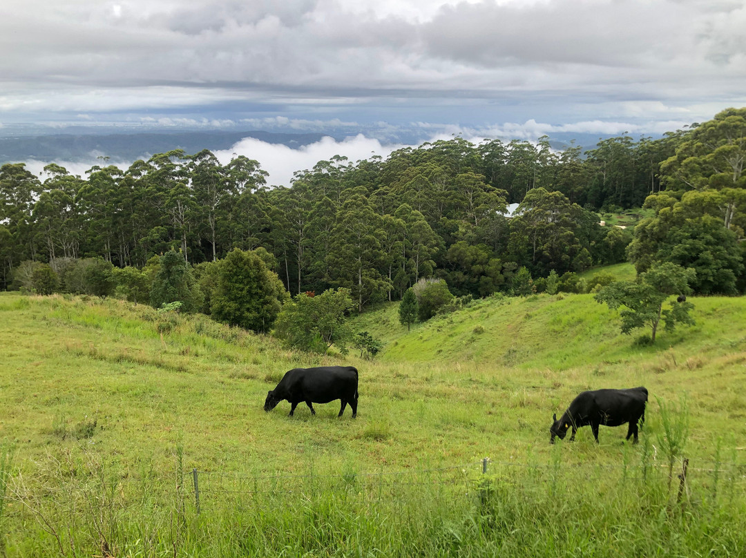 Seaview Farm Retreat主图