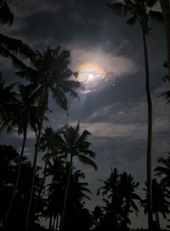 Panioty's Villa主图