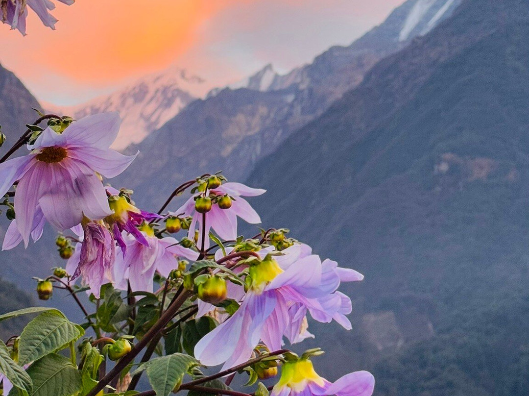 Shree yoga retreat in Nepal-Kirtipur必去景点