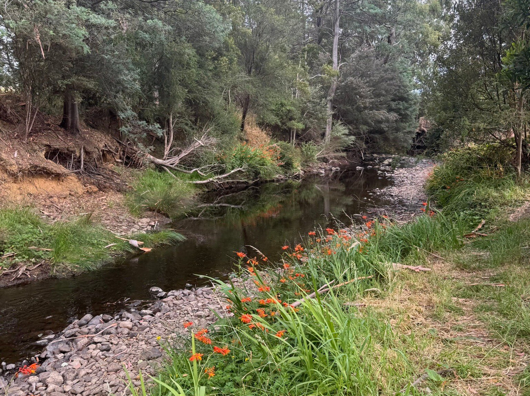 Platypus Walk-Geeveston必去景点