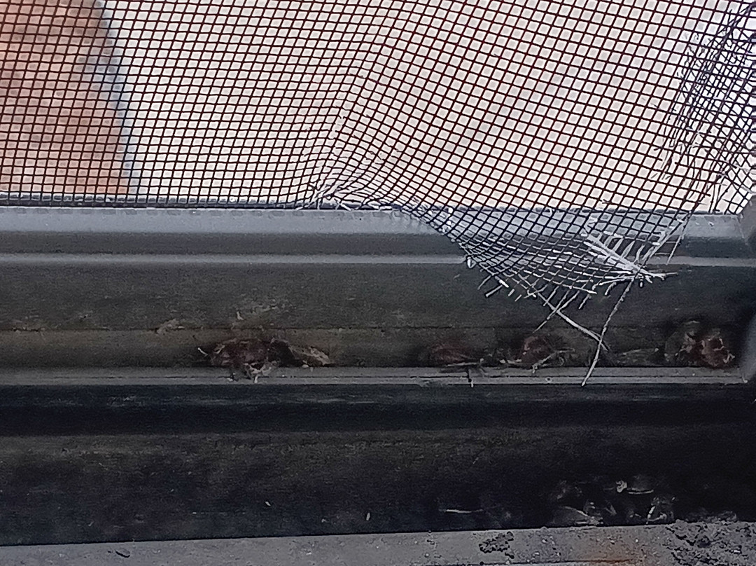 Super 8 by Wyndham Watertown WI主图