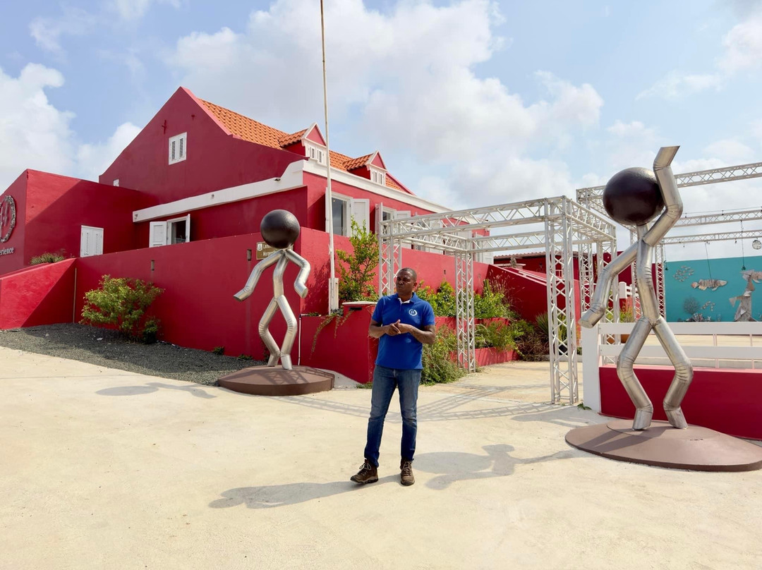 7.1 Experience Art Gallery-威廉斯塔德必去景点