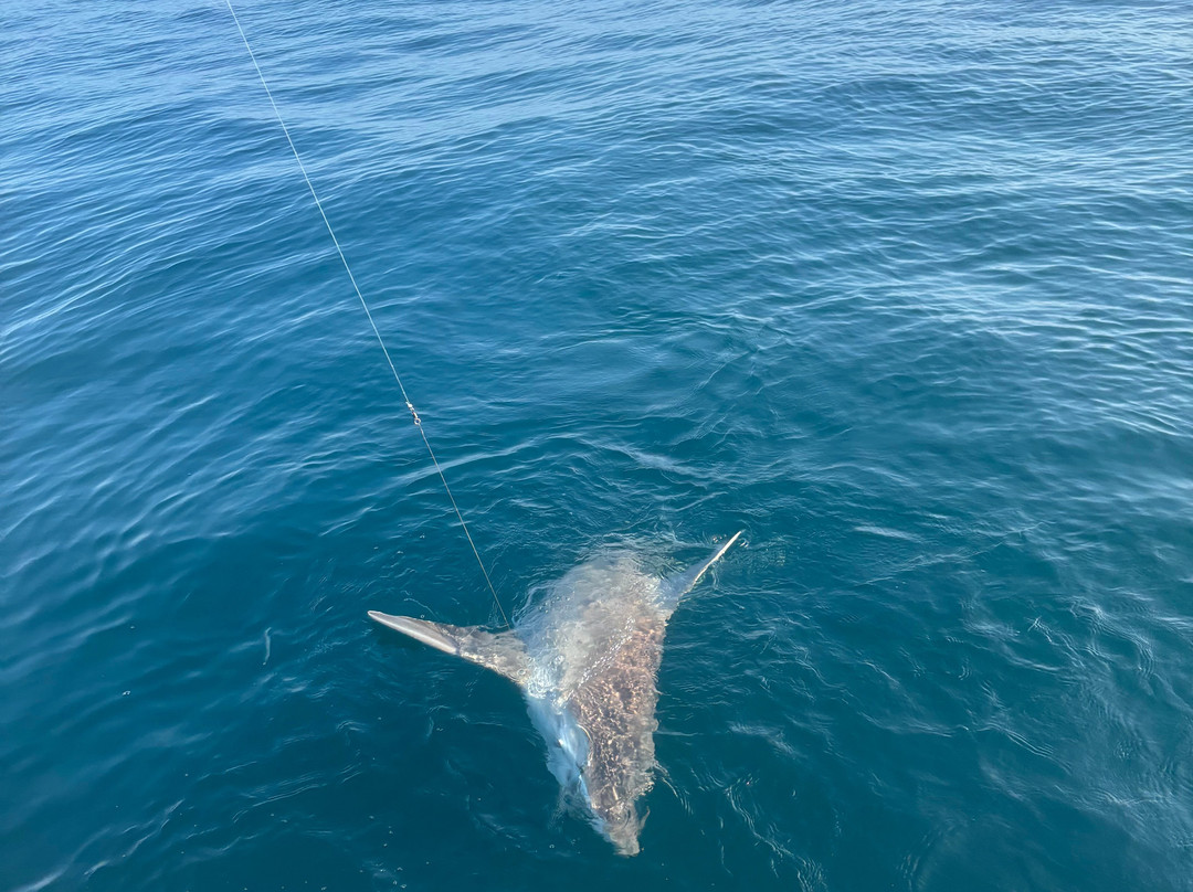 Canaveral Kings Sport Fishing Charters景点图片