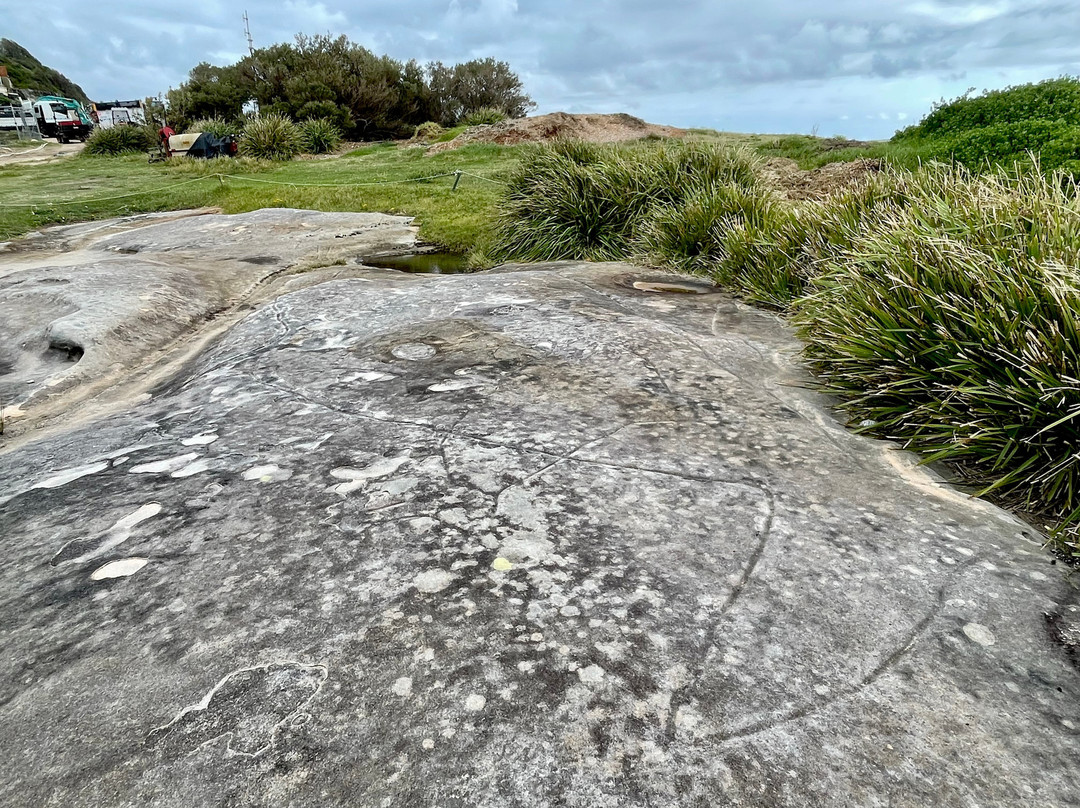 Aboriginal Rock Engravings景点图片