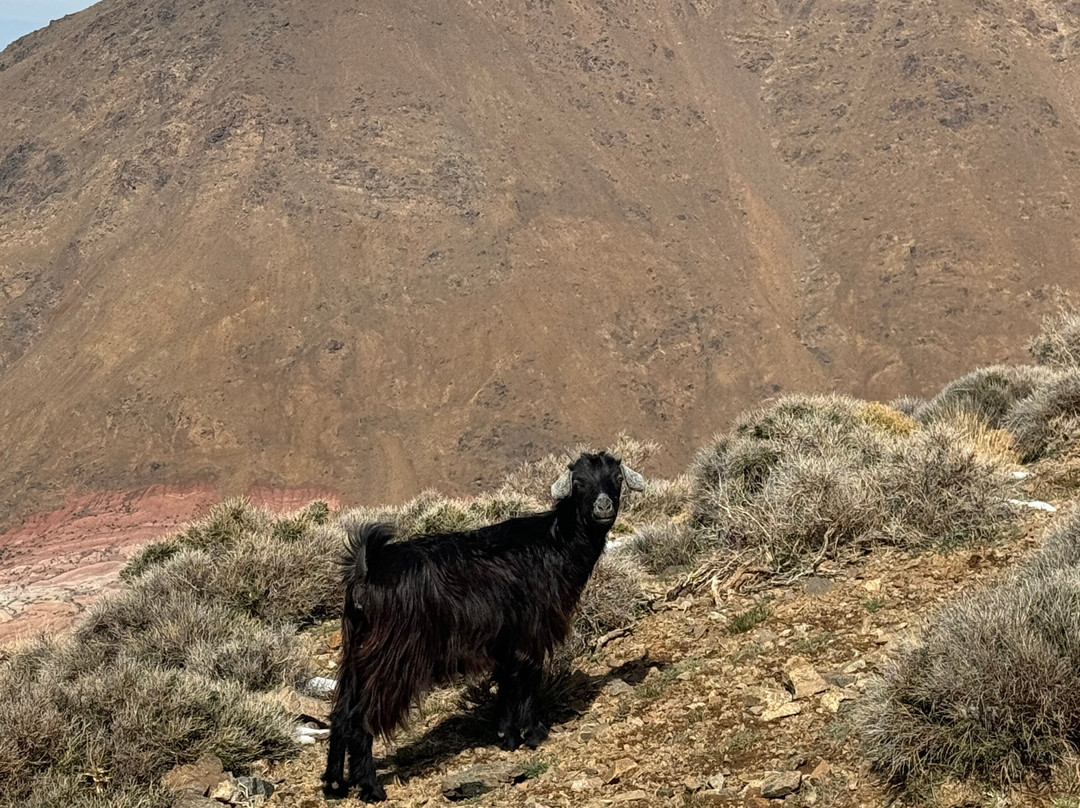 Trek Atlas-伊姆利勒必去景点