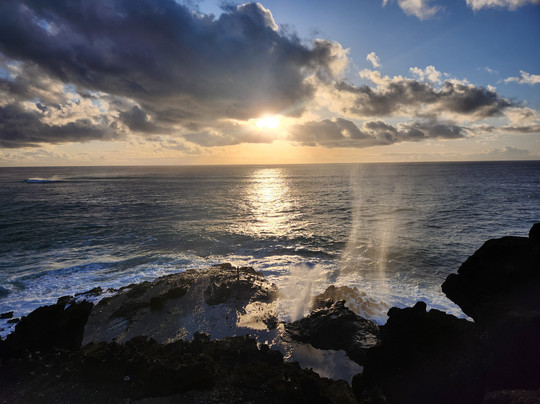 The Pineapple EXP-瓦胡岛必去景点
