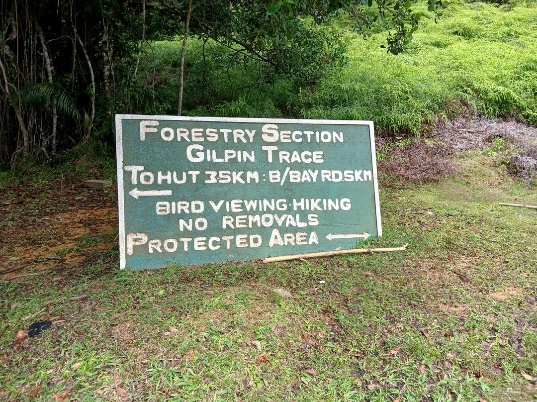 Tobago Forest Reserve-多巴哥必去景点