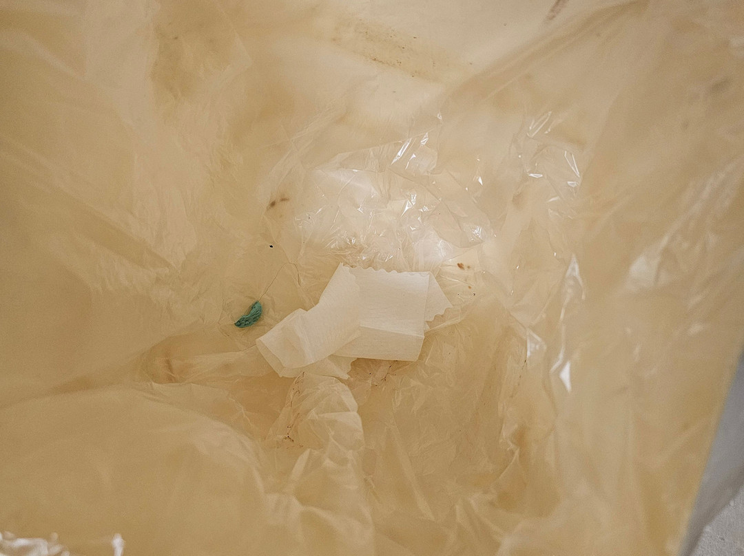 Quality Inn at Albany Mall主图